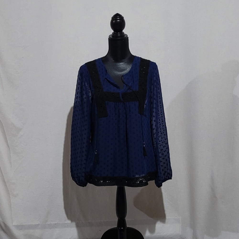 Daniel Rainn blouse peasant boho sheer blue shirt embroidery whimsigoth fairy